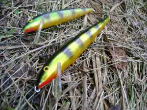 old-perch-9-a-11cm.jpg
